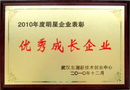 武漢時代地智科技股份 油田勘探開發軟件研發與技術服務的領航者